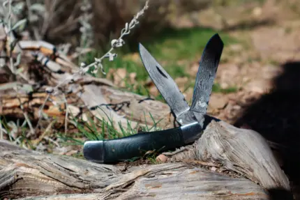 Trailblazer 325D Knife: Boldly Carve Your Path!
