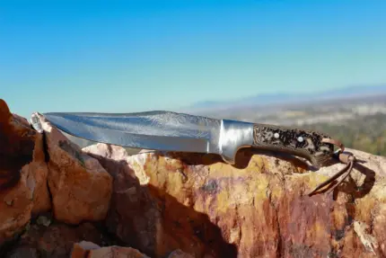 Outlaw 800 Bowie Knife